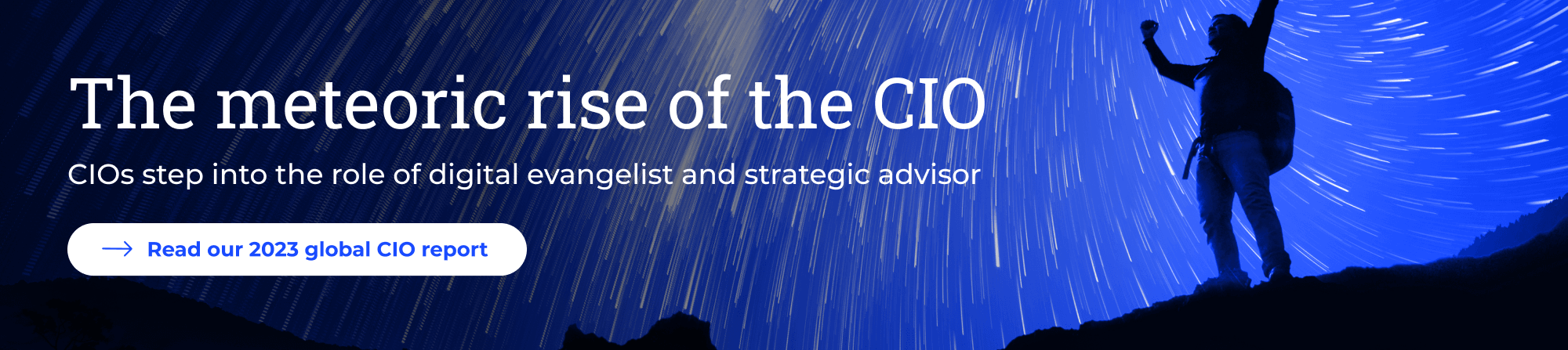 CIO Report