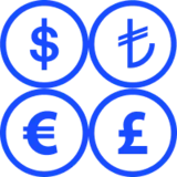 currencies icon